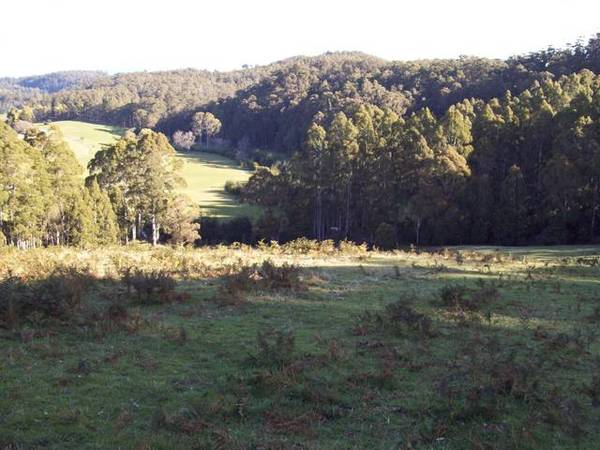 Your Own Nature Reserve Picture 3