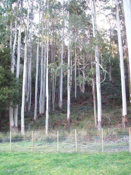 Your Own Nature Reserve Picture 1