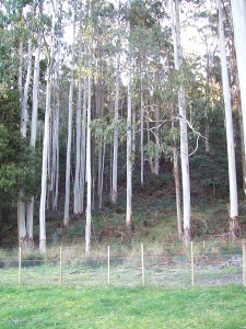 Your Own Nature Reserve Picture