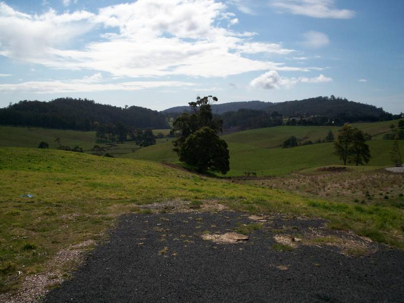 1.1ha Rural Residential Block - Camborne Drive Picture 3