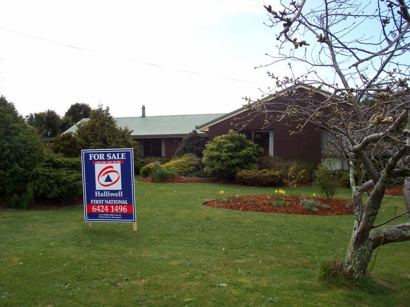 The Perfect Point of View! Picture 1