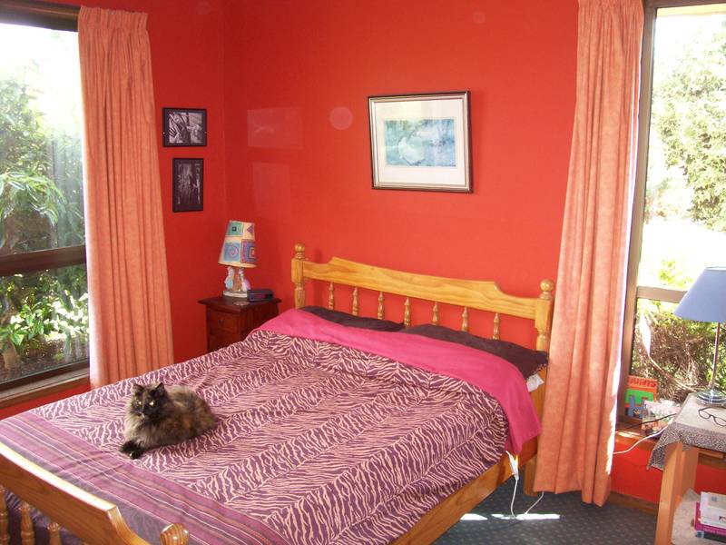 The Perfect Point of View! Picture 3