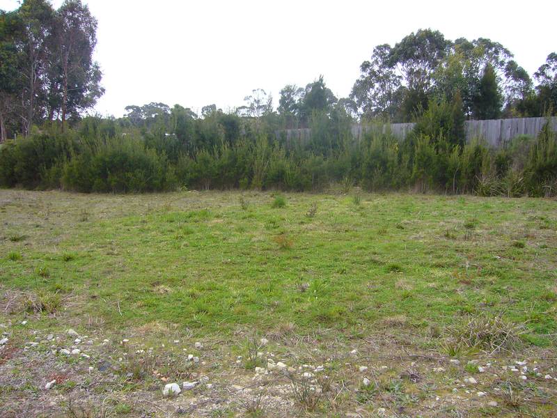 Don't Miss Out Picture 2