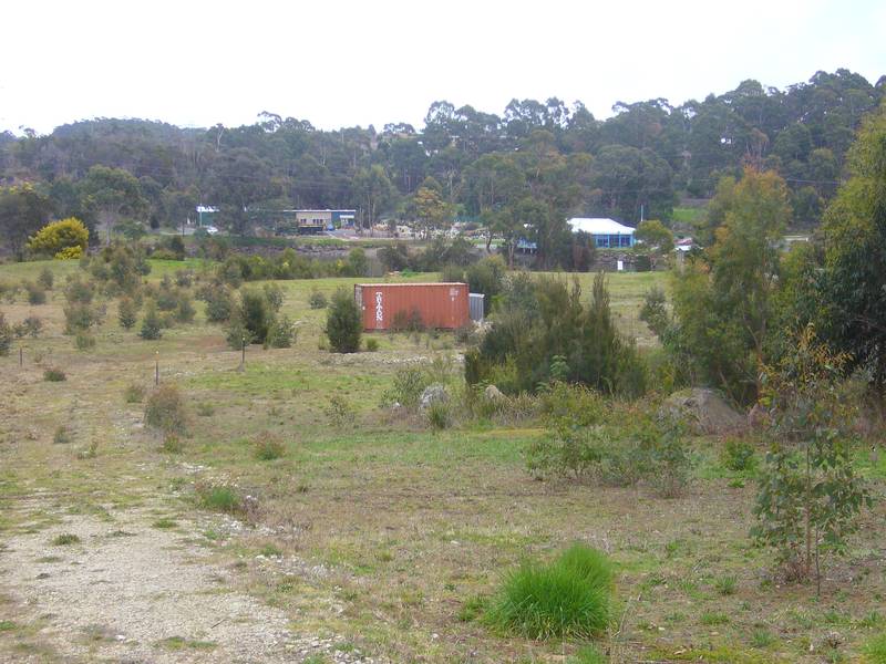 Don't Miss Out Picture 3