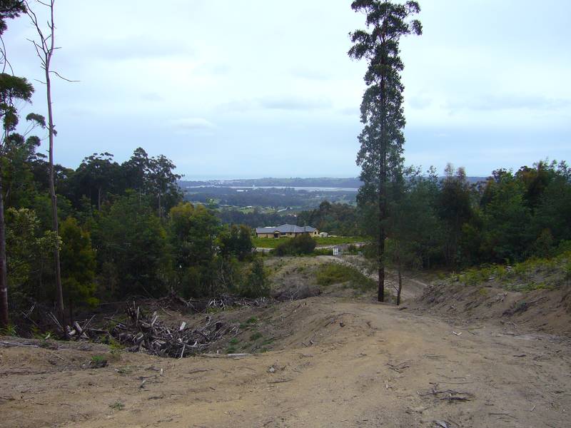 Stake Your Claim on This Picture 2