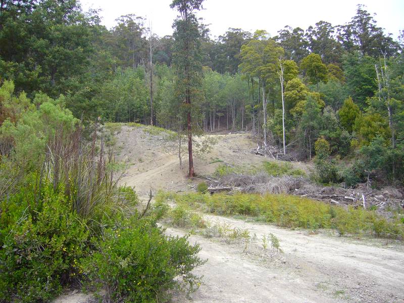 Stake Your Claim on This Picture 1