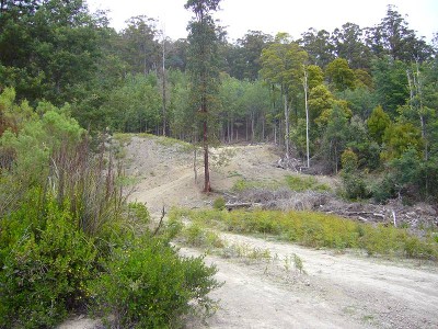 Stake Your Claim on This Picture