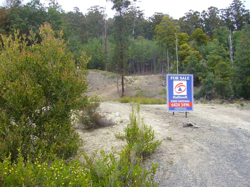 Stake Your Claim on This Picture 3