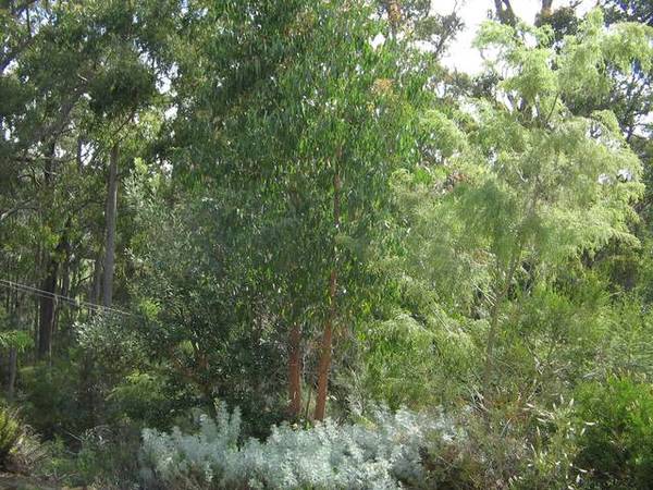 A Home Is Just A Country Lane Away Picture 2