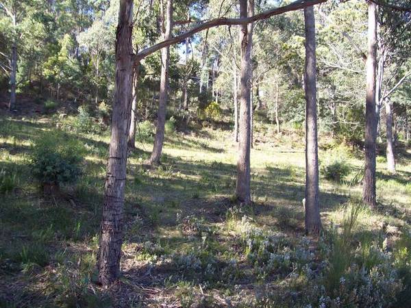 Panoramic River Views Picture 2