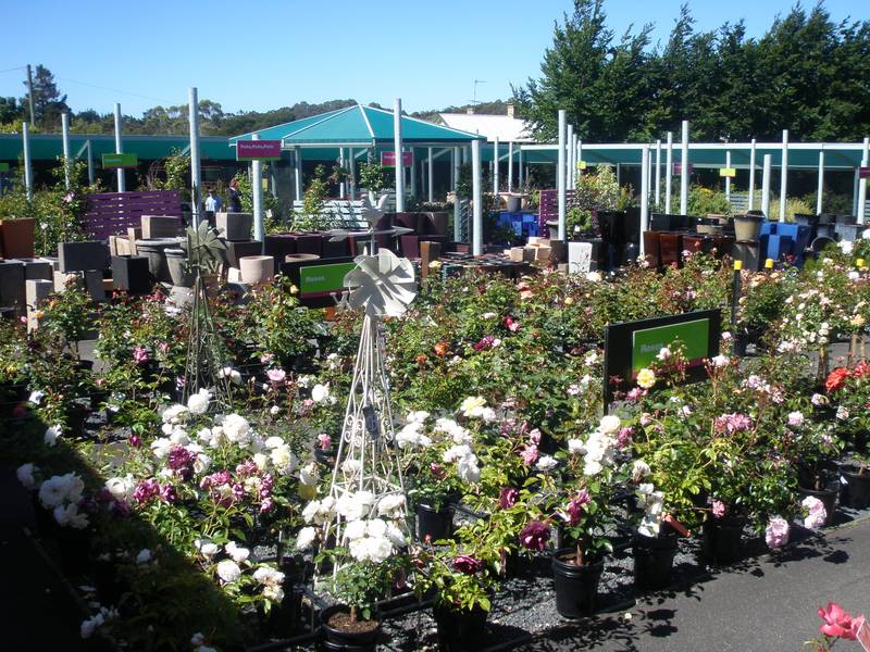 Top Performing Nursery - Freehold Business Picture 3