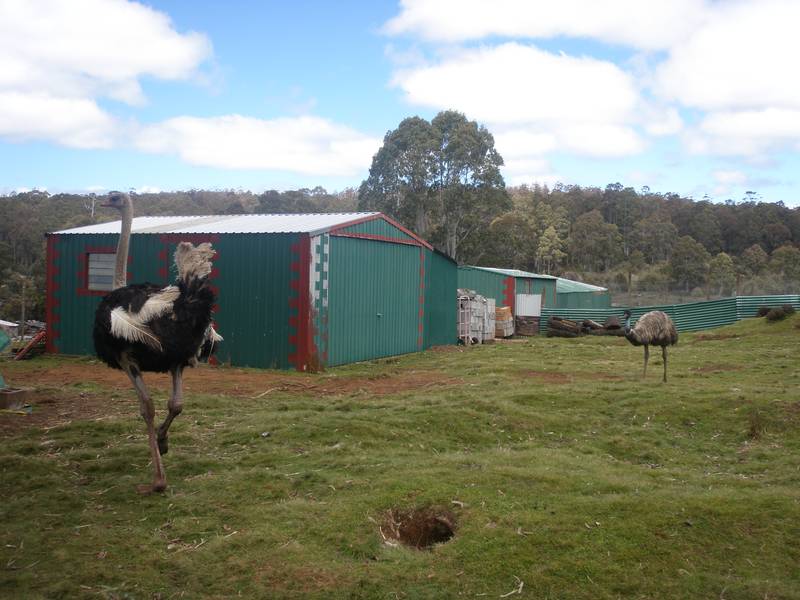 Massive Tourism Opportunity 10 Min from Cradle Mountain Picture 2