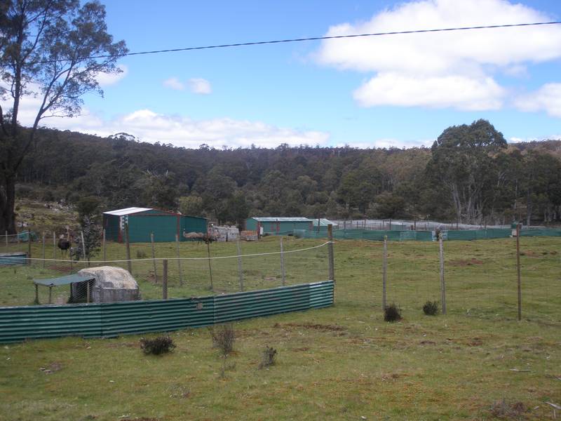 Massive Tourism Opportunity 10 Min from Cradle Mountain Picture 3