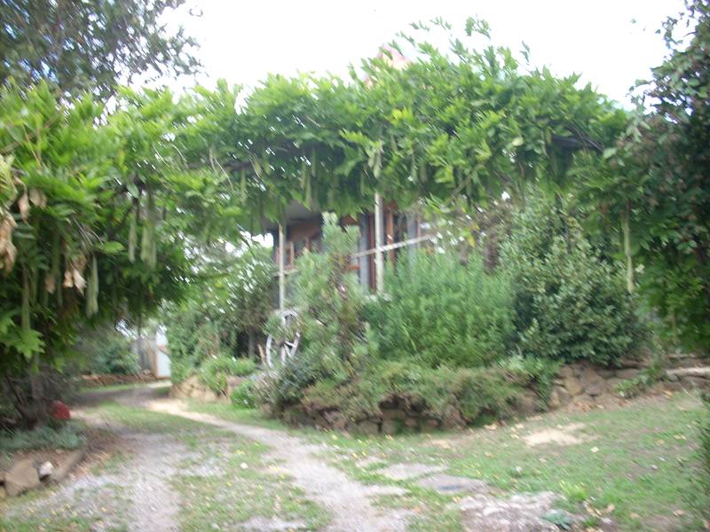 Rural Setting Picture 1