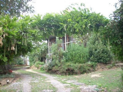 Rural Setting Picture