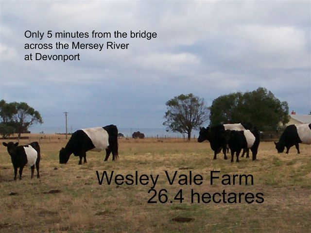 The Perfect Lifestyle Close to Devonport 26ha (65 acre) Farm with
potential $50,000 income
and a 3 bedroom home Picture 1