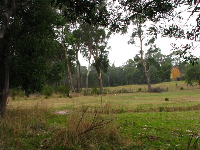5 Acres in Town Picture 2