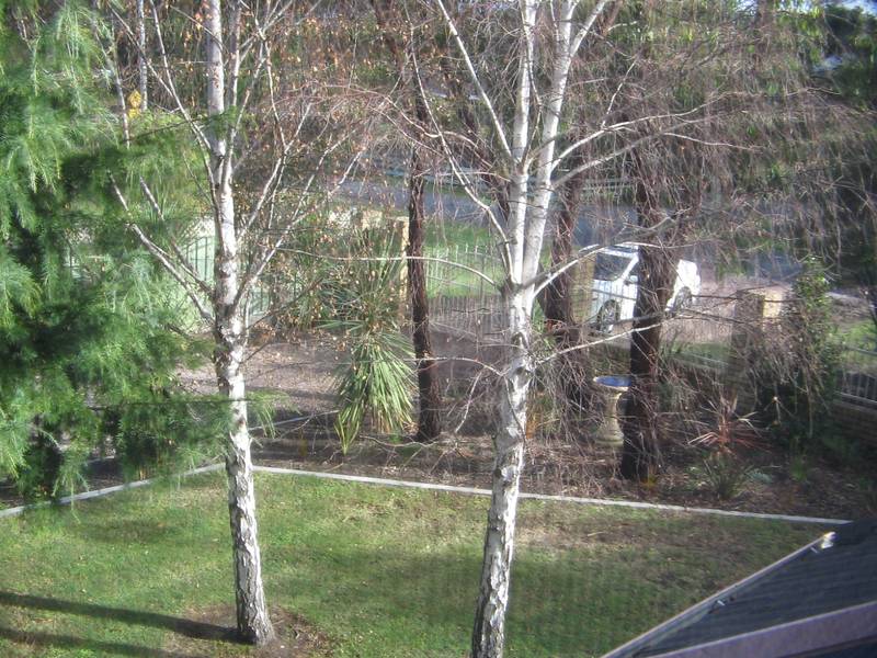 A Slice of The Millionaires Life Picture 3