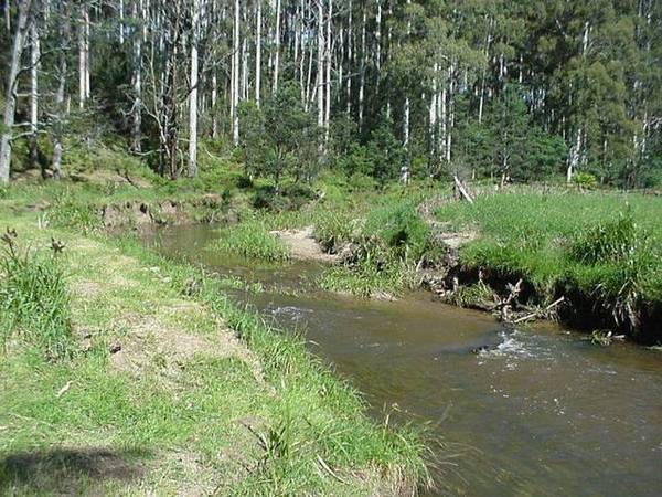 Rural Residential Blocks fronting Don River Reserve at Camborne Drive (Off Cornwall Road) Picture 1