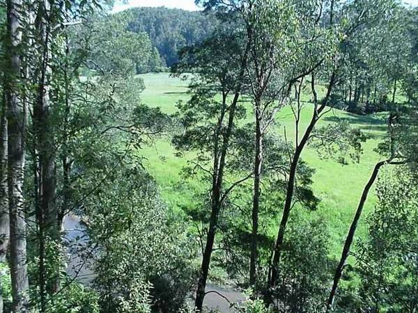 Rural Residential Blocks fronting Don River Reserve at Camborne Drive (Off Cornwall Road) Picture 3
