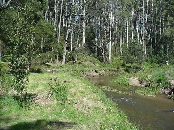Rural Residential Blocks fronting Don River Reserve at Camborne Drive (Off Cornwall Road) Picture 2