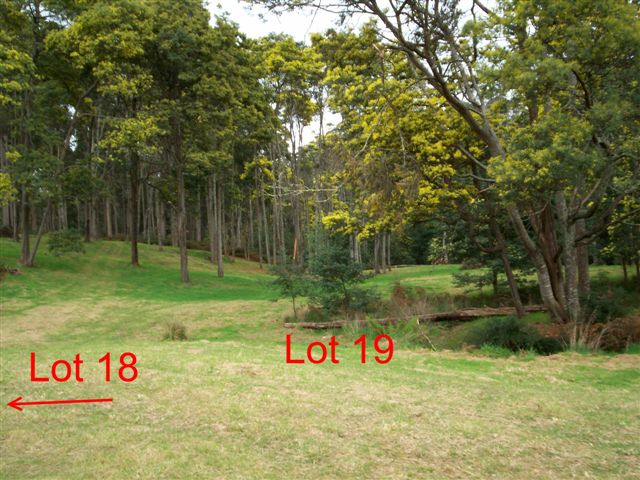 New Release -Virtual Riverfront Blocks--Penzance Place near Devonport Picture 3