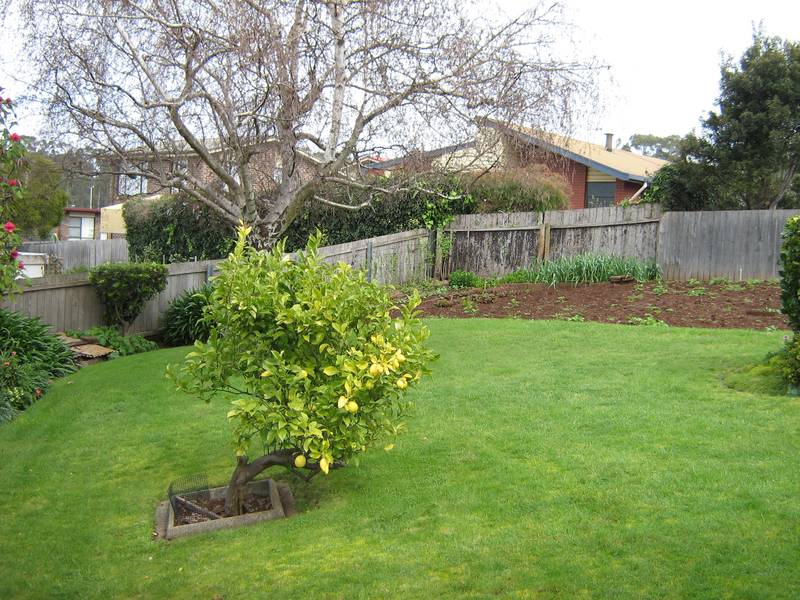 HIDDEN TREASURE ... BEST BUY IN THE AREA..... Picture 2