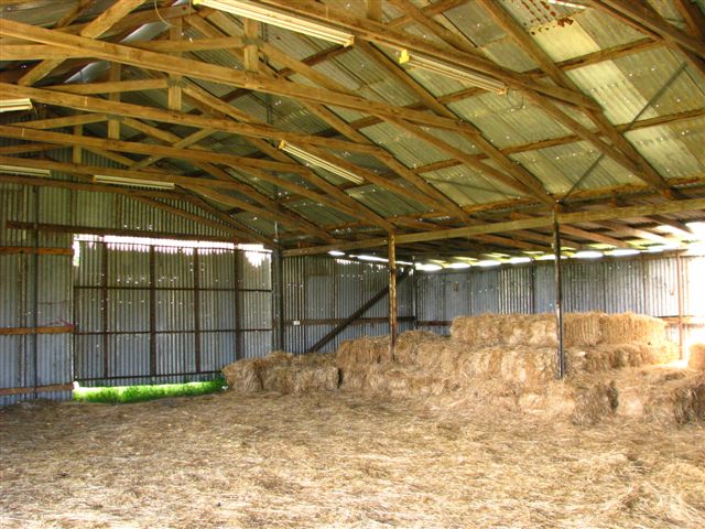 Two Can Live As Cheap As One!! Picture 2