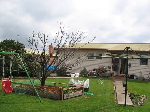 A Pinch Me Price! Picture 2