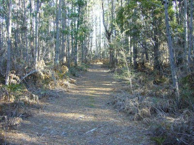 Get Away From It All Picture