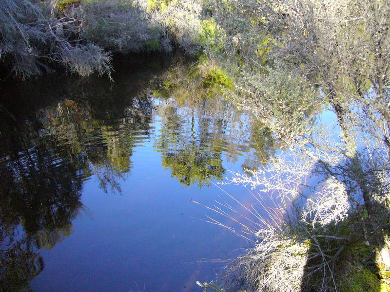 Get Away From It All Picture 3