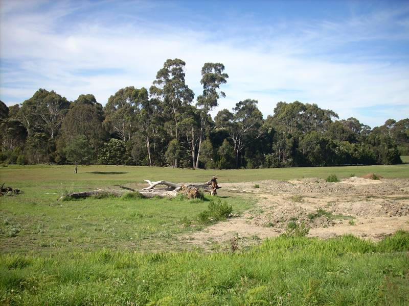 Quality Residential Subdivision Lane Picture 1