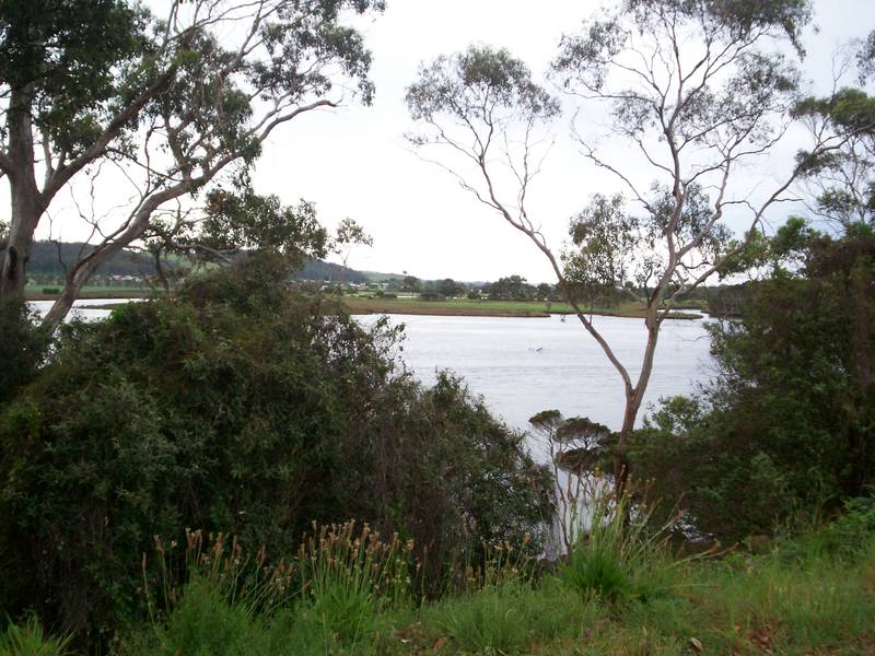 Breath taking Sea, Coastal & River Views from large block of 4003m2 Picture 2
