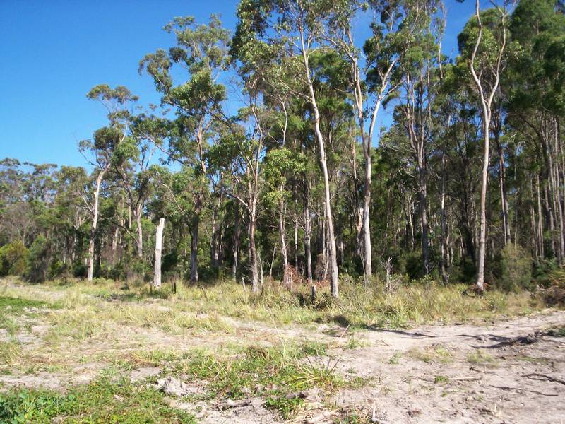 Bush Block 2klm from Latrobe Picture 2