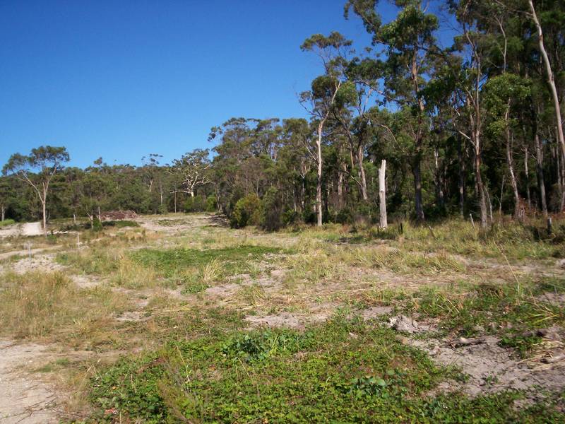 Bush Block 2klm from Latrobe Picture 3