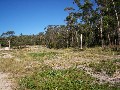 Bush Block 2klm from Latrobe Picture