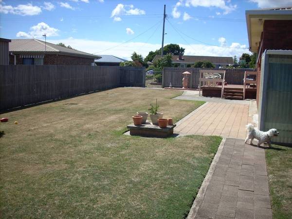 One For The Family Picture 3