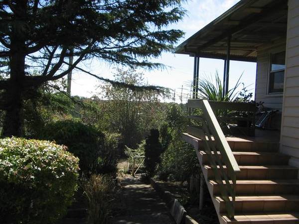 Country Sunshine Picture 2