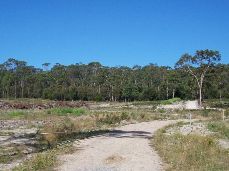 Bush Block 2klm from Latrobe Picture 2