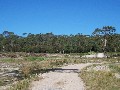 Bush Block 2klm from Latrobe Picture