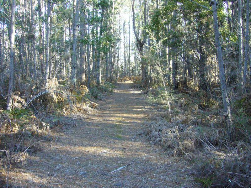 Get Away From It All Picture 2