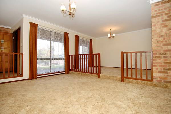 THIS IS BIG!!! Picture 3