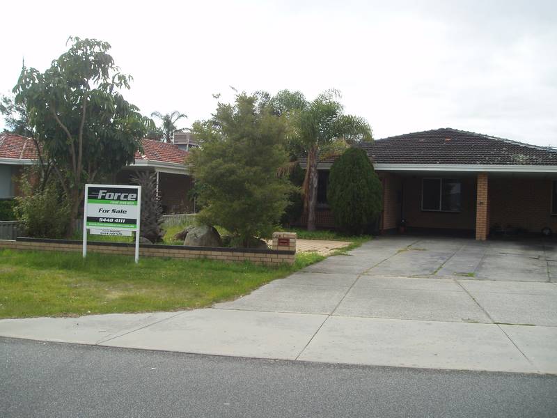 SOLID INVESTMENT Picture 1