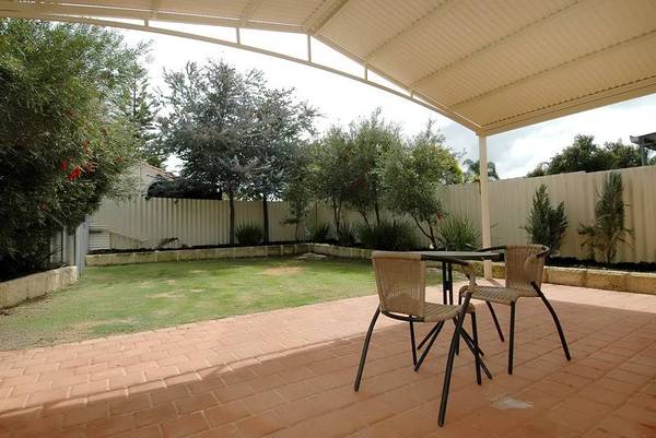 LITTLE RIPPER PRICED TO PLEASE!! Picture