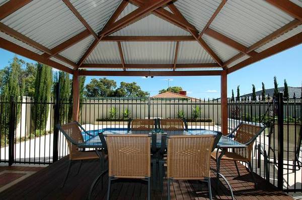 The WOW Factor!!
What A Showoff!! Picture