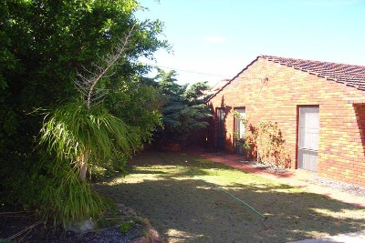 BUDGET PLEASER Picture