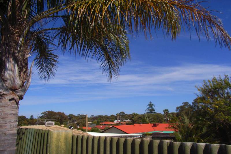 BUDGET PLEASER Picture 3