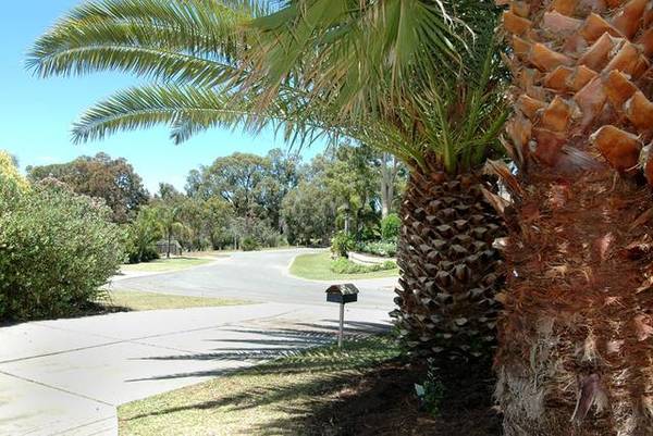 POSITION PERFECT Picture