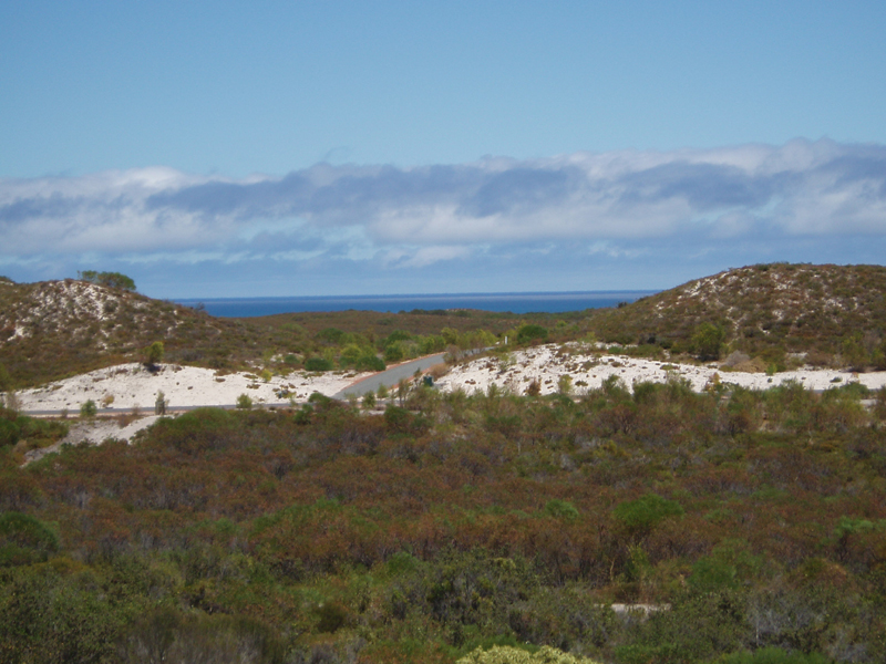 SEA CHANGE!! Picture 1