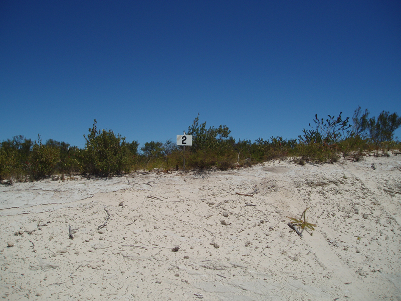 SEA CHANGE!! Picture 3